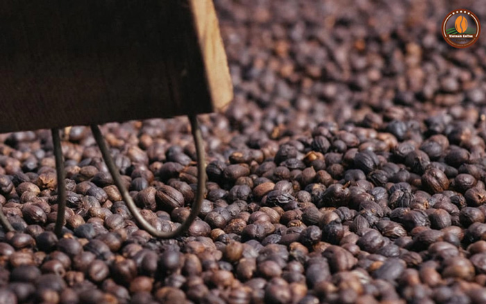 Các phương pháp sơ chế khô cà phê