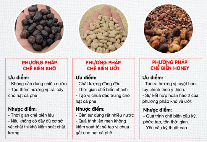 cách sơ chế cà phê sạch