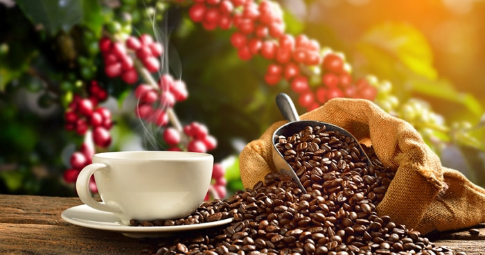 tác dụng của cà phê sạch