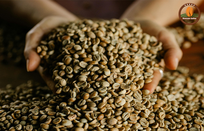 Tiêu chuẩn cà phê xuất khẩu