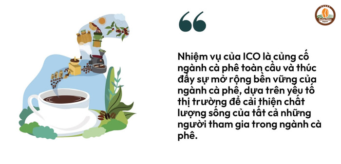 tiêu chuẩn cafe xuất khẩu