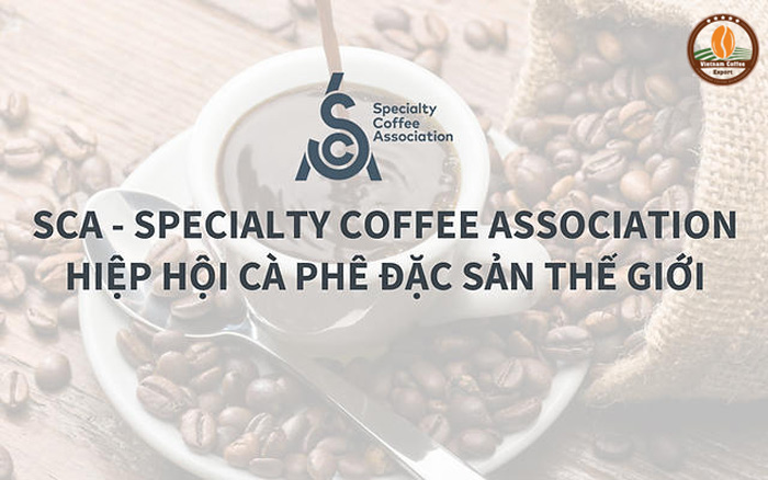 tiêu chuẩn xuất khẩu cà phê sang châu âu