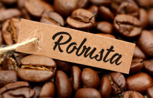 Cà phê Robusta